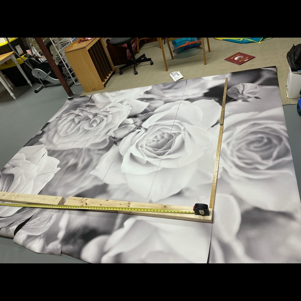 Oh pops! Wall Mural 9’10” x 7’10”